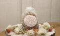 Bathbomb- Poppyfield Peach